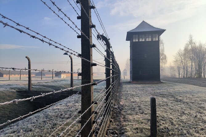 Private Guided Tour to Auschwitz & Birkenau from Krakow - Judenrampe: a very brief stop with enormous weight