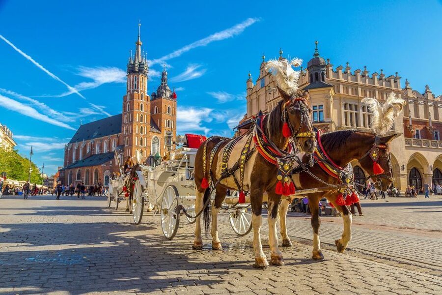 Private Krakow Tour: St. Mary’s, Cloth Hall & More - St. Mary’s Basilica: Going In for the Veit Stoss Altar