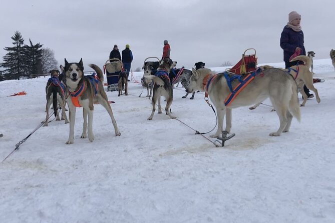 Private Zakopane and Thermal Pools Tour from Krakow - Key highlights you will actually feel