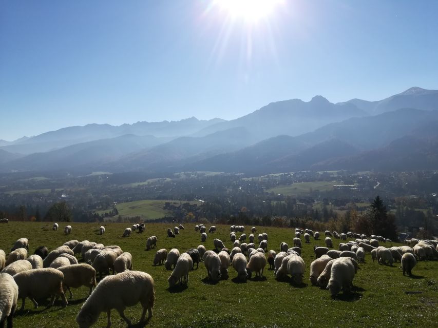Rafting on Dunajec & Zakopane Tour – Day Trip from Krakow - Key Things I’d Pay Attention To