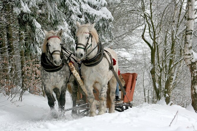 Sleigh Ride & Bonfire in Zakopane with Funicular - Private Trip - Key things you should know before you go