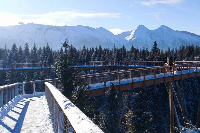 Treetop Walk in Slovakia and Thermal Baths from Krakow - Pickup, driver style, and what language help really means