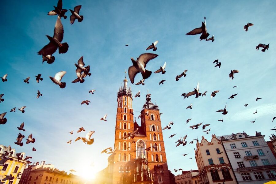 Wawel Castle & Cathedral Skip the Line Small Group Tour - Wawel in short, the part this tour is designed for