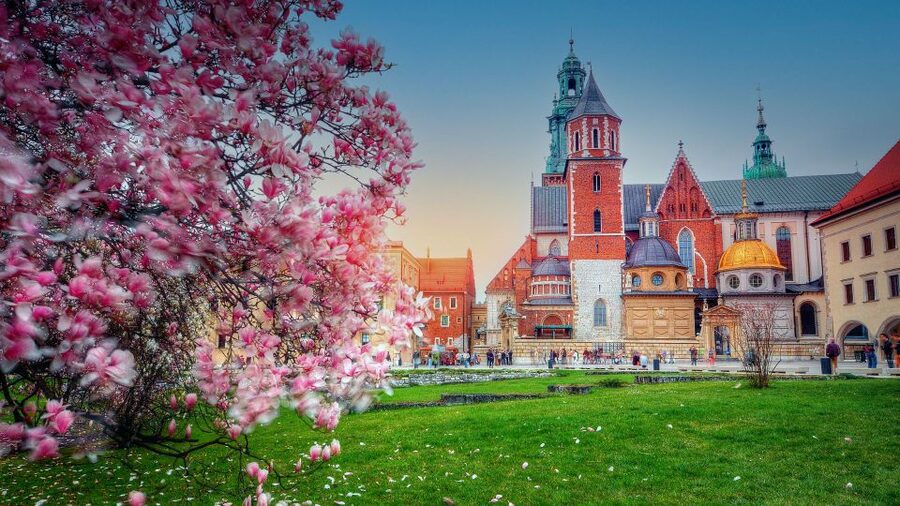 Wawel Hill Tour with Audio Guide - Starting at Bracka 15, Picking Up Your Audio Kit