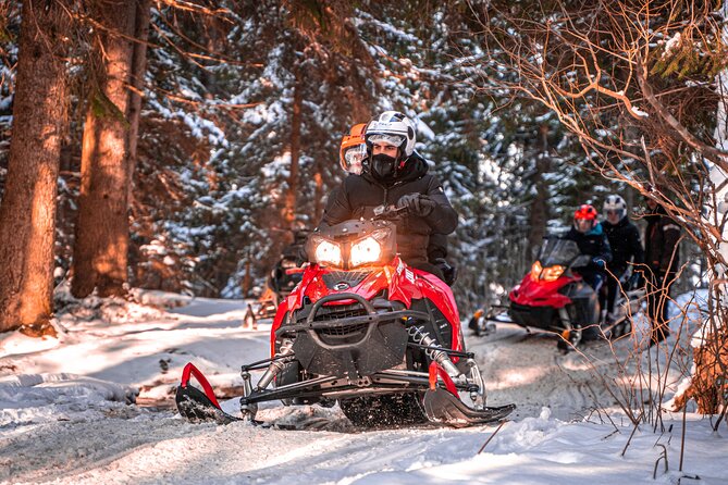 Zakopane: 3 hours Snowmobiles Guided Tour with bonfire and meal - The guided ride: what you do on the snowmobile