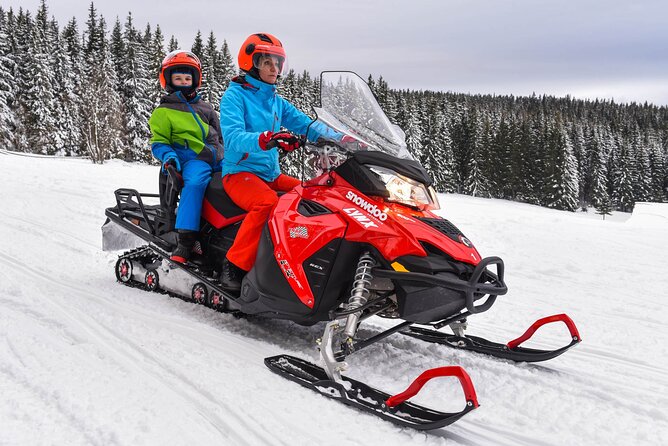 Zakopane: 3 hours Snowmobiles Guided Tour with bonfire and meal - Who this snowmobile tour fits best