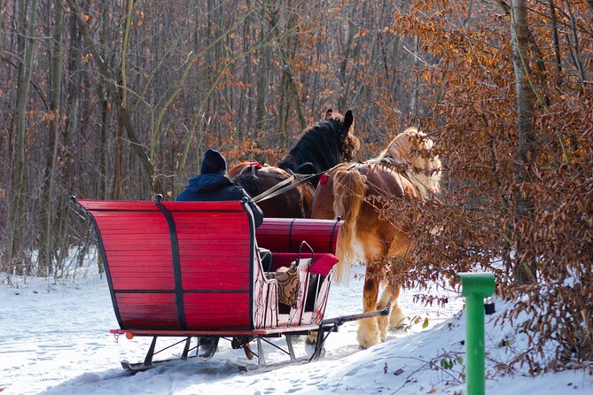 Zakopane Horse-Drawn Rides with Local Guide and Food Tasting - What Makes It Good Value for a 3-Hour Evening