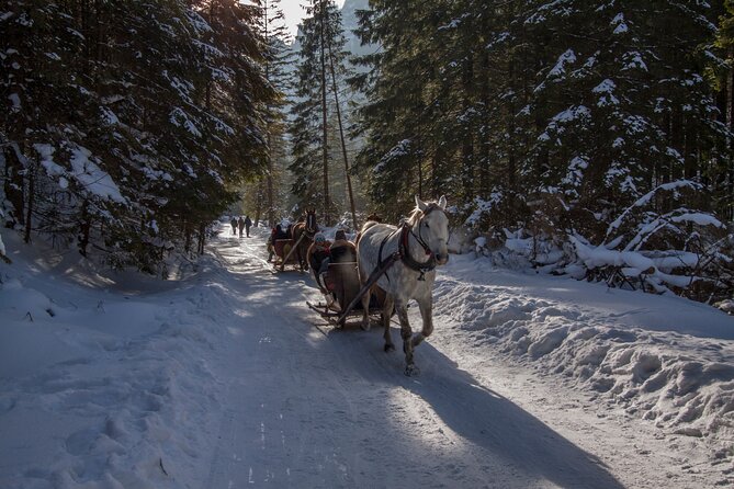 Zakopane Horse-Drawn Rides with Local Guide and Food Tasting - Who Should Book This Horse Ride in Zakopane