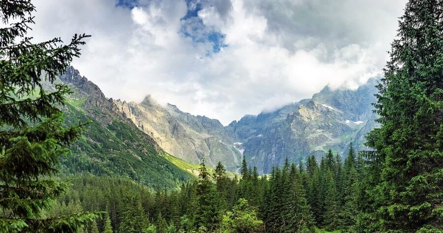 Zakopane: Sightseeing Tour from Krakow - Traditional Cottage Cheese Tasting: A Small Stop That Can Be the Best One