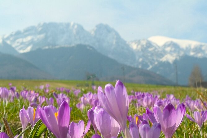 Zakopane & Tatra Mountains - Zakopane and the Tatra Mountains, without the stress
