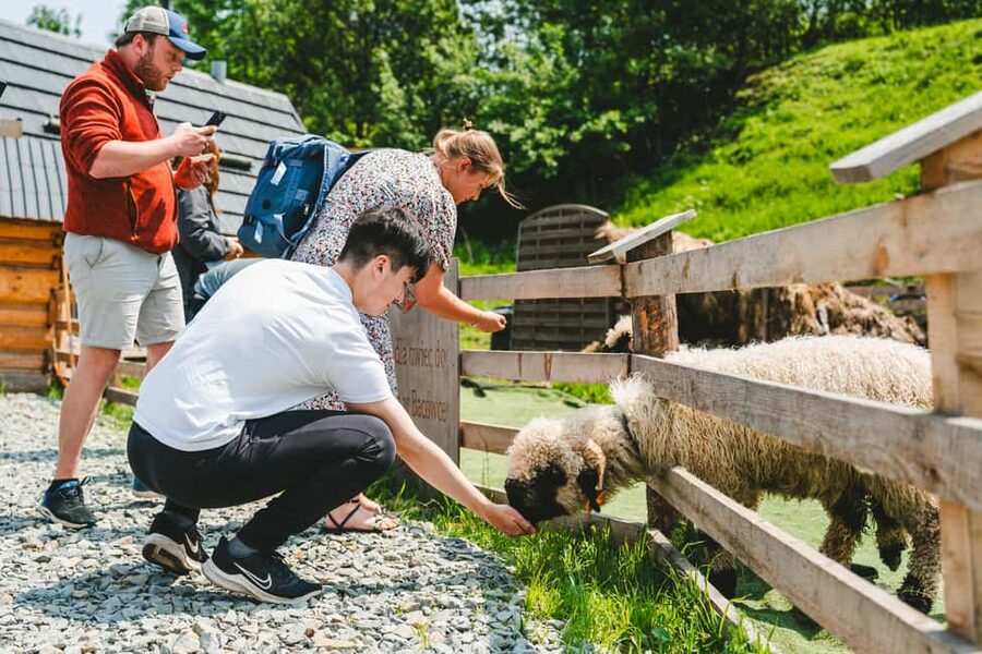 Zakopane & Tatra Mountains from Krakow – Guided Tour - The Traditional Village Photo Stop, Quick Reality Check Time