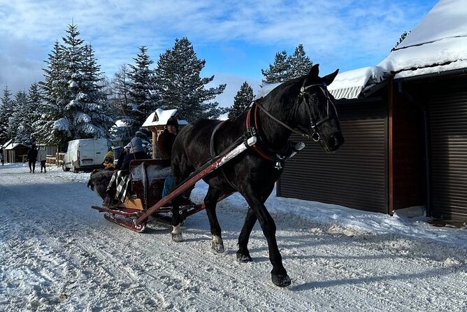 Zakopane Tour from Krakow with Thermal SPA and Hotel Pick up - A Mountain Day From Krakow, Then Hot Springs Time